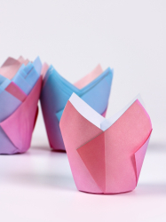 Изображение Капсула тюльпан Градиент